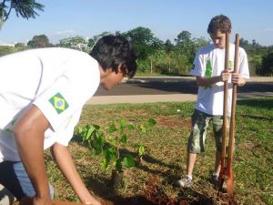 Quinta-Feira 07/04